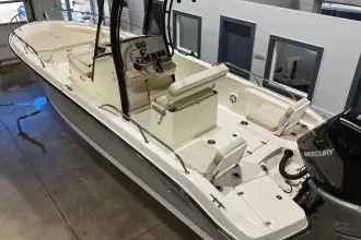 Thumbnail von Boston Whaler 250 Dauntless