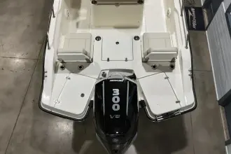 Thumbnail von Boston Whaler 250 Dauntless