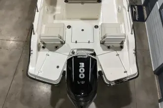 Thumbnail von Boston Whaler 250 Dauntless