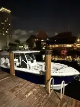Blackfin 302 CC