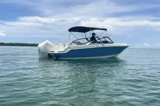 Thumbnail von Boston Whaler 210 Vantage
