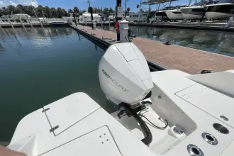 Thumbnail von Boston Whaler 210 Vantage