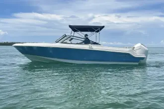 Thumbnail von Boston Whaler 210 Vantage