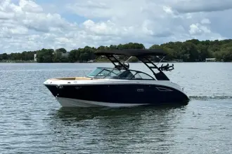 Thumbnail von Sea Ray SDX 230 Surf