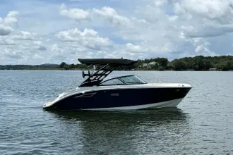 Thumbnail von Sea Ray SDX 230 Surf