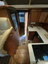 Thumbnail von Silverton 38 Convertible