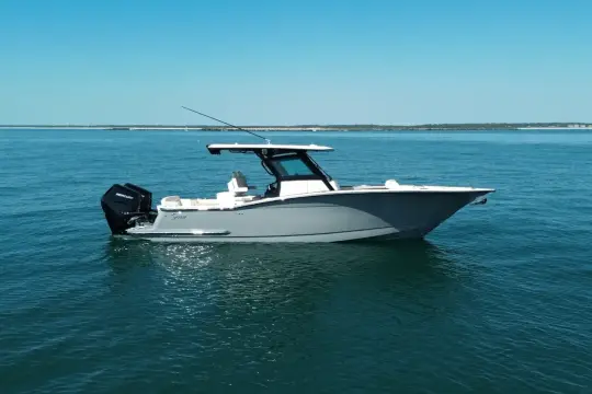 Scout 305 LXF