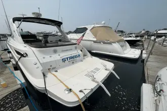 Thumbnail von Sea Ray 350 Sundancer