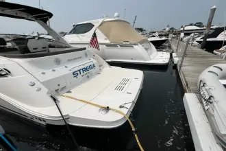 Thumbnail von Sea Ray 350 Sundancer