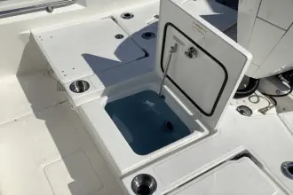 Thumbnail von Boston Whaler 250 Dauntless