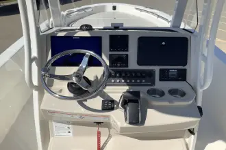Thumbnail von Boston Whaler 250 Dauntless