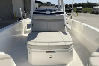 Thumbnail von Boston Whaler 250 Dauntless