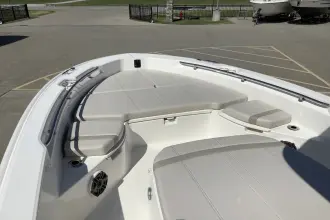 Thumbnail von Boston Whaler 250 Dauntless