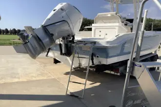 Thumbnail von Boston Whaler 250 Dauntless