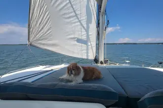 Thumbnail von Lagoon 450 Bear, DE