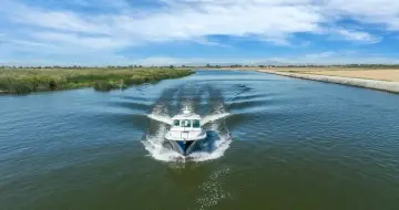 Back Cove 32