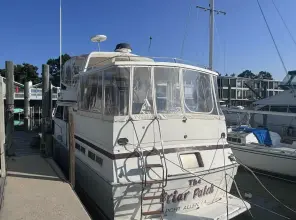 Thumbnail von Viking 44 The Briar Patch