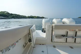 Thumbnail von Boston Whaler 350 Realm BLUE SKIES