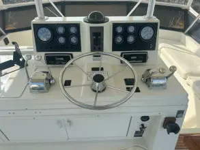 Thumbnail von Viking 45 Convertible ARETE