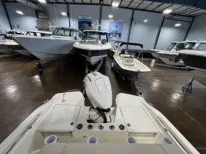 Thumbnail von Boston Whaler 220 Dauntless