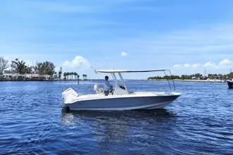 Thumbnail von Boston Whaler 220 Dauntless