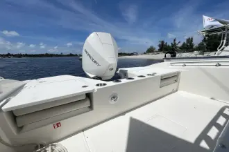 Thumbnail von Boston Whaler 220 Dauntless