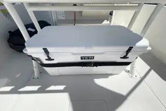 Thumbnail von Boston Whaler 220 Dauntless