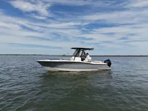 Scout 240 XSF