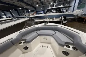 Thumbnail von Boston Whaler 250 Outrage