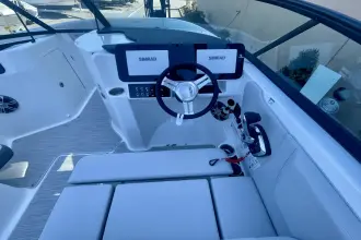 Thumbnail von Sea Ray SDX 250 Outboard