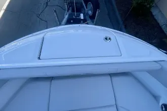 Thumbnail von Sea Ray SDX 250 Outboard