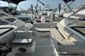 Thumbnail von Sea Ray SDX 250 Outboard