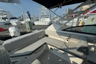 Thumbnail von Sea Ray SDX 250 Outboard