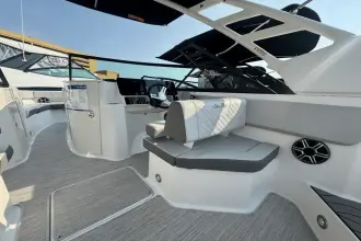 Thumbnail von Sea Ray SDX 250 Outboard