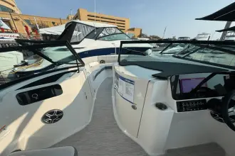 Thumbnail von Sea Ray SDX 250 Outboard