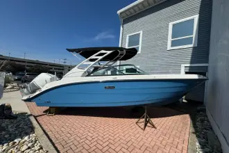 Thumbnail von Sea Ray SDX 250 Outboard