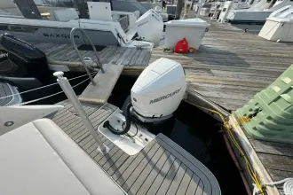 Thumbnail von Sea Ray SDX 250 Outboard