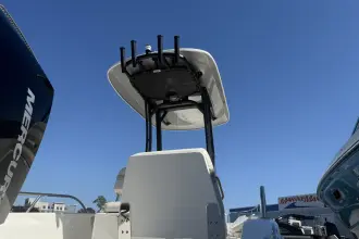 Thumbnail von Boston Whaler 250 Dauntless