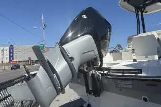 Thumbnail von Boston Whaler 250 Dauntless