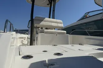 Thumbnail von Boston Whaler 250 Dauntless