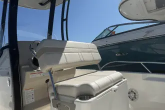 Thumbnail von Boston Whaler 250 Dauntless