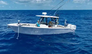 Cobia 305 CC