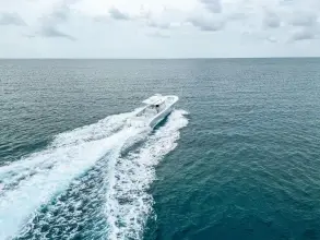 Thumbnail von Yellowfin 42 Offshore