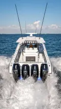 Thumbnail von Yellowfin 42 Offshore