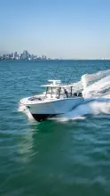 Thumbnail von Yellowfin 42 Offshore