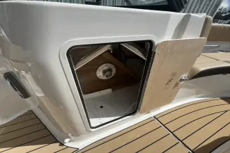 Thumbnail von Sea Ray SDX 250 Outboard