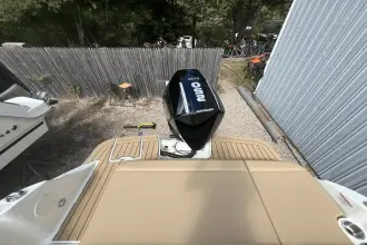 Thumbnail von Sea Ray SDX 250 Outboard