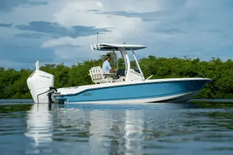 Thumbnail von Boston Whaler 250 Dauntless