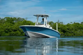 Thumbnail von Boston Whaler 250 Dauntless