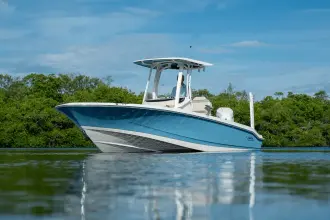 Thumbnail von Boston Whaler 250 Dauntless